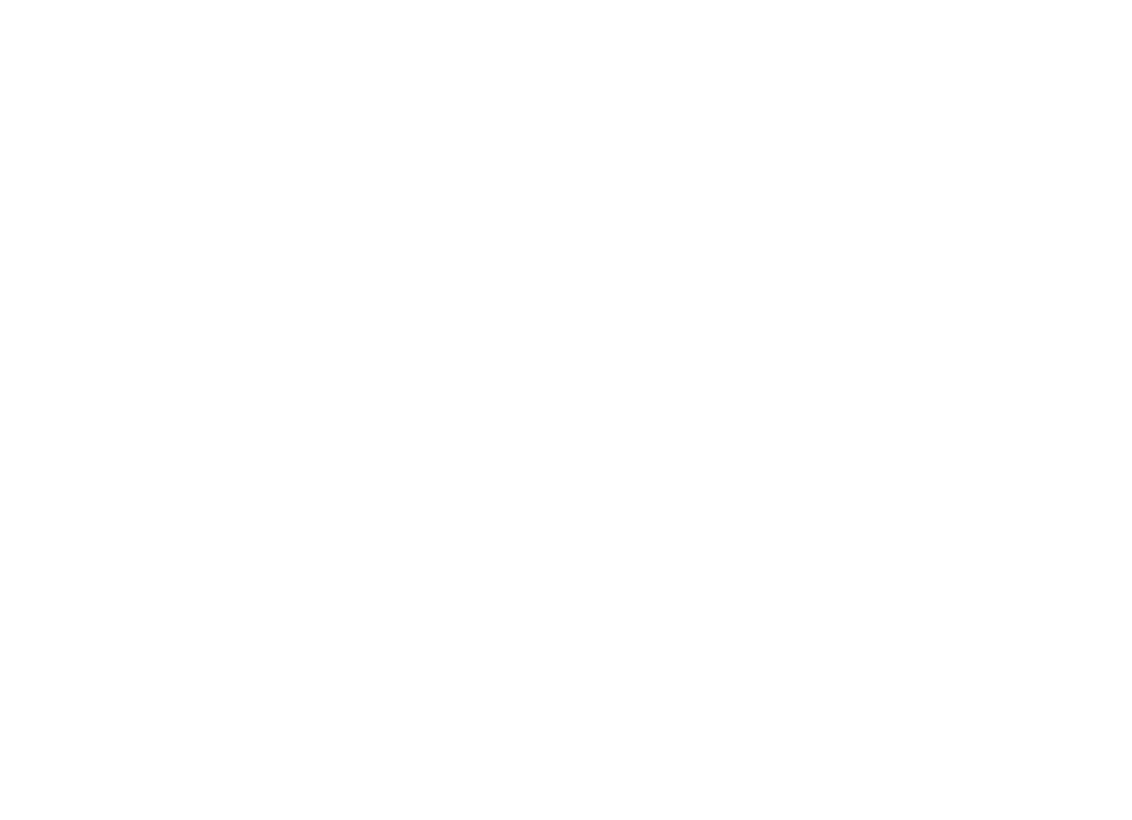 logo ICDL blanc
